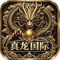 真龙国际
